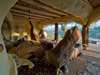 Chongwe River House - Lounge 